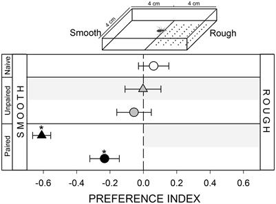 Learning Spatial Aversion Is Sensory-Specific in the Hematophagous Insect Rhodnius prolixus